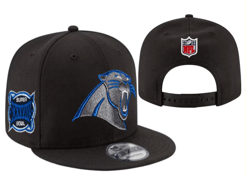 2026 NFL Carolina Panthers Hat style YS02